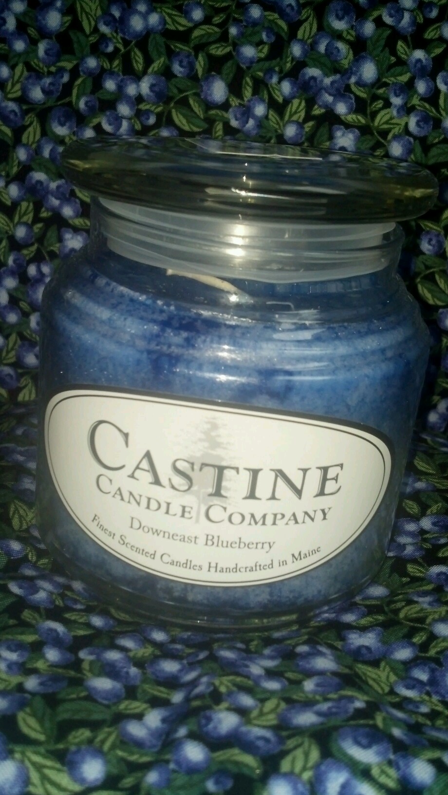 Downeast Blueberry Candle (Large) Wild Blueberry Land